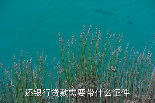 還銀行貸款需要帶什么證件