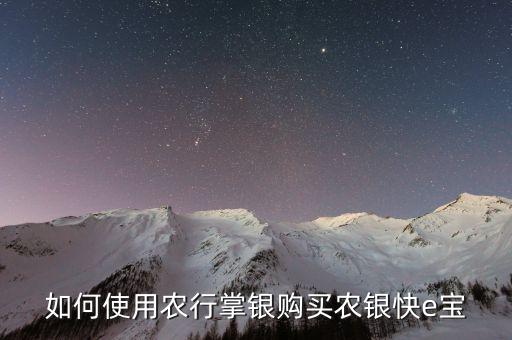 如何使用農(nóng)行掌銀購買農(nóng)銀快e寶