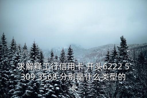 求解釋工行信用卡 開頭6222 5309 3568 分別是什么類型的卡