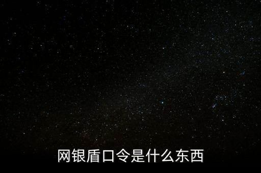 網(wǎng)銀盾口令是什么東西