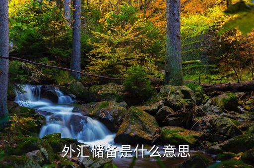 外匯儲(chǔ)備是什么意思