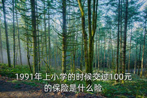 1991年上小學的時候交過100元的保險是什么險