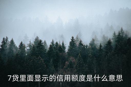 7貸里面顯示的信用額度是什么意思