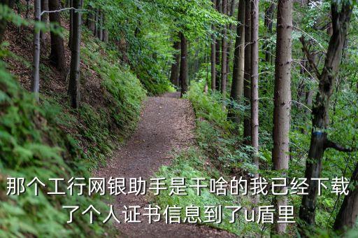 什么是網(wǎng)銀助手，工行網(wǎng)銀助手這個軟件干什么用啊