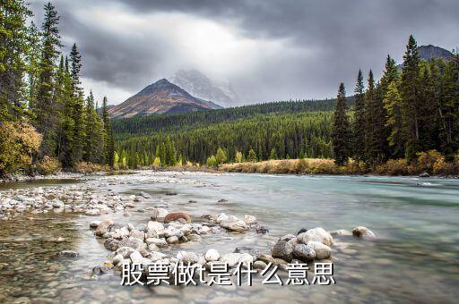 股票里的t是什么意思啊，股票的T指標(biāo)是什么意思