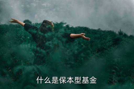 保本固定收益型是什么，保本固定收益型是什么意思