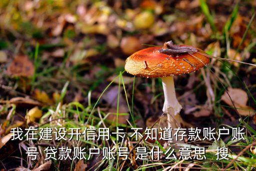 我在建設(shè)開信用卡 不知道存款賬戶賬號(hào) 貸款賬戶賬號(hào) 是什么意思  搜