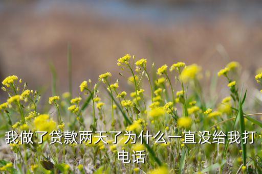 我做了貸款兩天了為什么一直沒(méi)給我打電話(huà)