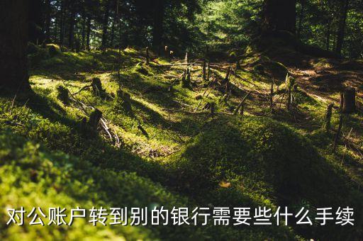 對公賬戶轉(zhuǎn)到別的銀行需要些什么手續(xù)