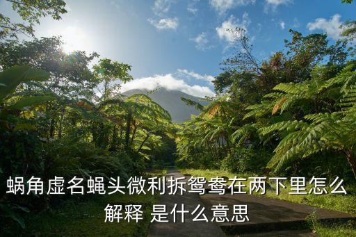 工銀瑞信添益快線貨幣是什么，王績(jī)的野望中詩眼是什么