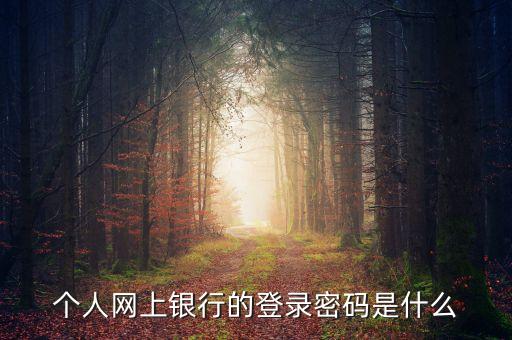 個人網(wǎng)上銀行的登錄密碼是什么