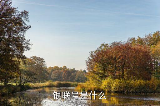 工商銀行銀聯(lián)號(hào)是什么意思，銀行卡上的銀聯(lián)是什么意思
