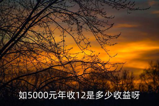 年化收益12是什么意思，請問年化收益12是怎么的
