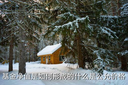 基金凈值是如何形成的什么是公允價(jià)格