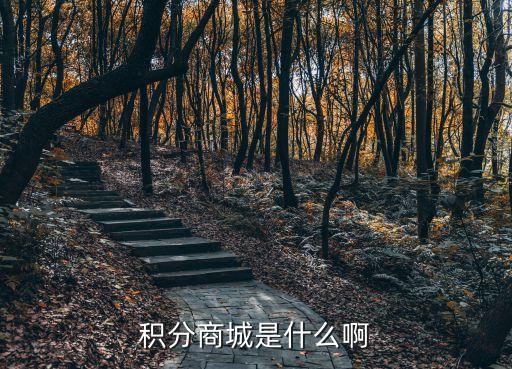 什么是積分商戶(hù)，信用卡任意計(jì)積分商戶(hù)什么意思