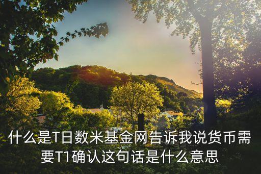 什么是T日數(shù)米基金網(wǎng)告訴我說貨幣需要T1確認(rèn)這句話是什么意思