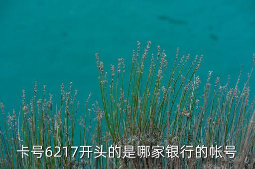 卡號6217開頭的是哪家銀行的帳號
