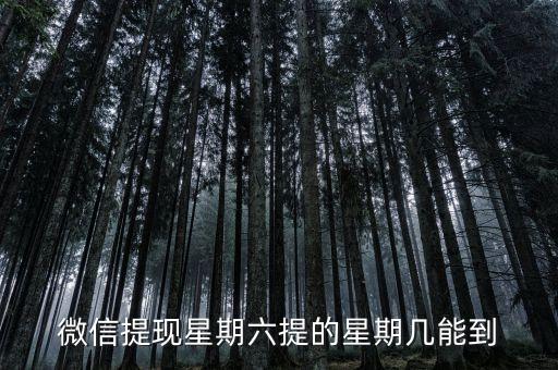 微信提現(xiàn)星期六提的星期幾能到