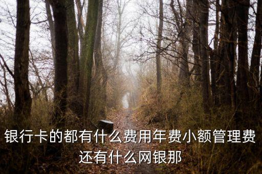 銀行卡分什么手續(xù)費(fèi)，銀行卡的都有什么費(fèi)用年費(fèi)小額管理費(fèi)還有什么網(wǎng)銀那