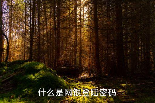 什么是網(wǎng)銀登陸密碼