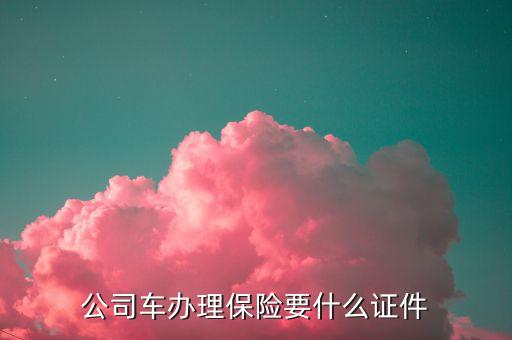 公司車辦理保險要什么證件