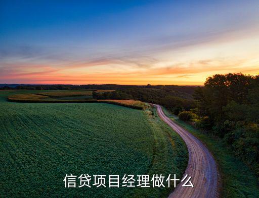 信貸項(xiàng)目經(jīng)理做什么