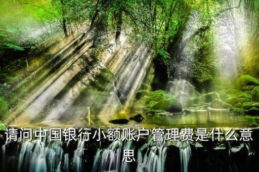 請(qǐng)問(wèn)中國(guó)銀行小額賬戶(hù)管理費(fèi)是什么意思