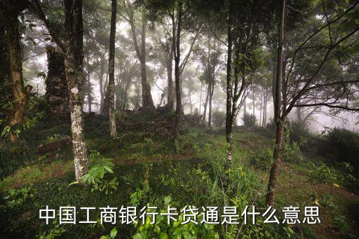 卡貸通是什么公司，中國工商銀行卡貸通是什么意思