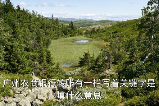 銀行的關(guān)鍵詞是什么意思，廣州農(nóng)商銀行轉(zhuǎn)賬有一欄寫著關(guān)鍵字是填什么意思