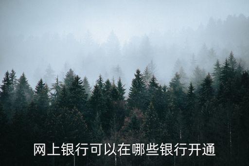 網(wǎng)上銀行可以在哪些銀行開通