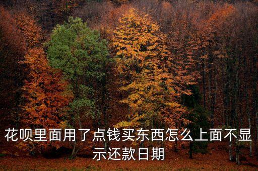 花唄里面用了點(diǎn)錢買東西怎么上面不顯示還款日期