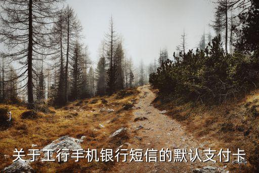 工行默認卡是什么，工商銀行卡的初始賬戶名是什么