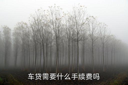 車貸需要什么手續(xù)費嗎