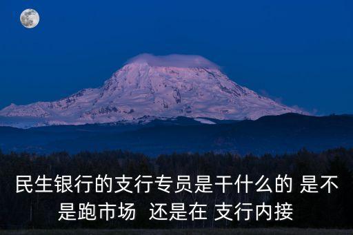 民生銀行的支行專員是干什么的 是不是跑市場  還是在 支行內(nèi)接