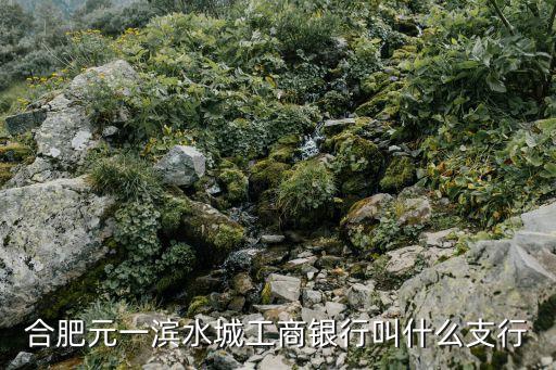 合肥元一濱水城工商銀行叫什么支行
