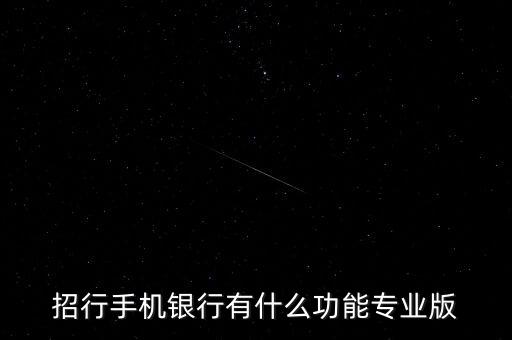 什么是招行網(wǎng)銀專業(yè)版，除了通過柜臺修改 怎么修改招商銀行預(yù)留手機(jī)號嘛 還有那什么網(wǎng)