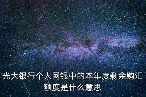 光大銀行個人網(wǎng)銀中的本年度剩余購匯額度是什么意思