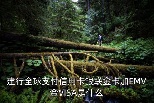 建行emv金visa是什么卡，建設(shè)銀行em金v丨sa是什么意思