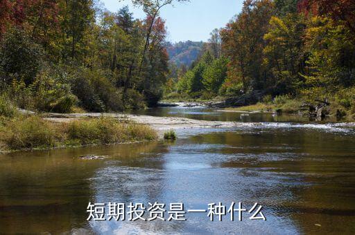 短期投資是一種什么