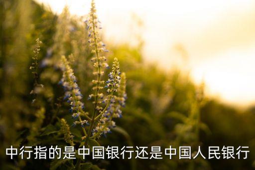 中行指的是中國銀行還是中國人民銀行
