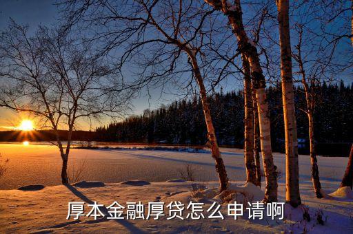 信用卡極速貸需要什么，我想貸兩萬元都要什么手續(xù)