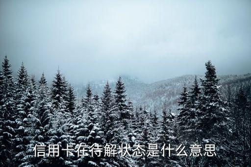信用卡待意思是什么意思，信用卡全額待還是啥意思