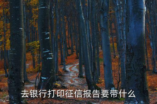 去銀行打印征信報告要帶什么