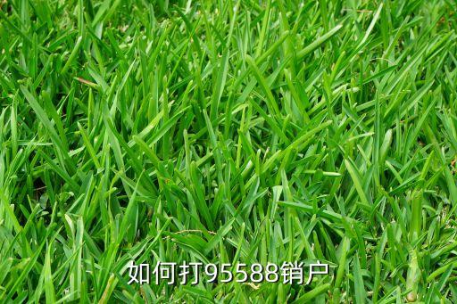 如何打95588銷(xiāo)戶(hù)