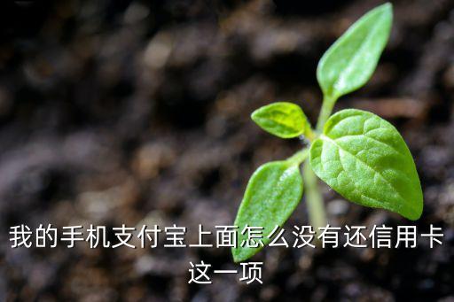淘寶為什么沒有信用卡還款日，支付寶里為什么沒有還款日設(shè)置