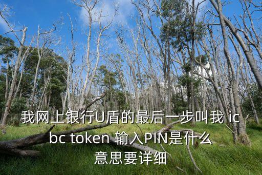 我網(wǎng)上銀行U盾的最后一步叫我 icbc token 輸入PIN是什么意思要詳細(xì)