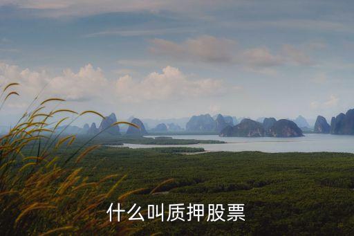 什么叫質(zhì)押股票