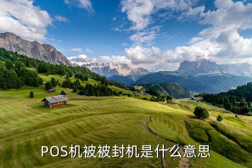 pos機(jī)封機(jī)了顯示什么原因，POS機(jī)被被封機(jī)是什么意思