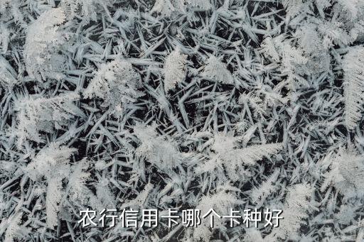 農(nóng)行金卡什么好，農(nóng)業(yè)銀行哪一種信用卡最好用推薦一下