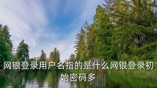 興業(yè)銀行企業(yè)網(wǎng)上銀行登錄名是什么意思，網(wǎng)上銀行登錄用戶名是什么意思啊